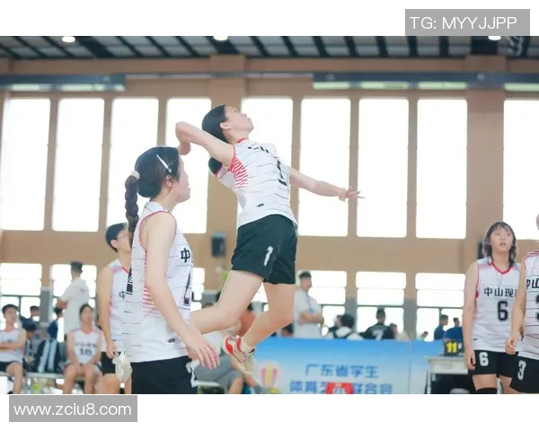 成都排球队逆袭之路揭秘世界锦标赛背后的奋斗与荣耀